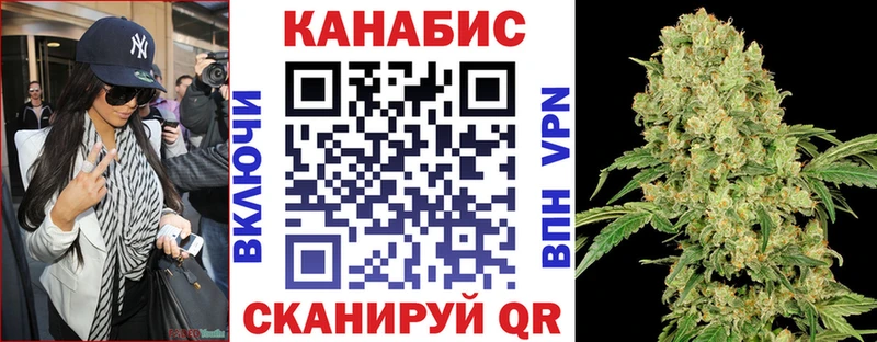 Каннабис индика  Ачхой-Мартан 
